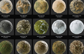 Substance 3D Assets - Biomes Everywhere in the World