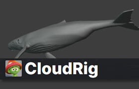 Cloudrig