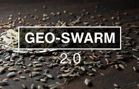 Geo-Swarm