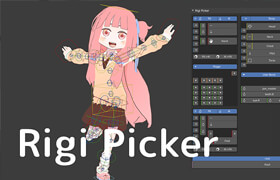 Rigi Picker
