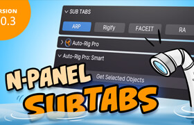 N Panel Sub Tabs