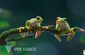 VfX Grace - Tree Frog Animated - 模型