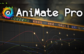 AniMate Pro