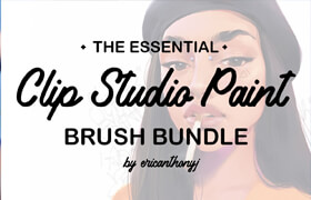 CSP Mega Bundle V2 (ericanthony)