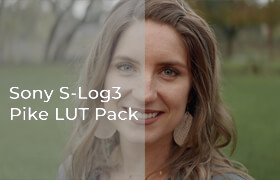 Dslrvideoshooter - Sony S-Log3 Pike LUT Pack
