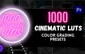 Gumroad - 1000 Cinematic Luts Color Presets Pack for Premiere Pro