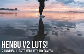 Henbu - V2 LUTs 2020