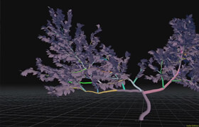Houdini School - HS-225 Procedural Growth with KineFX and the Labs Tree Tools