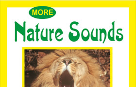 SR Fields - More Sounds of Easy Listening [Flac] - 聲音素材