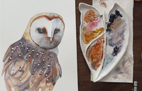 Udemy - Master a Realistic Owl in Watercolor Step-by-Step Painting