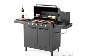 Barbecue 43