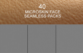 TexturingXYZ Bundle Face #01 and Skin Micromaps #1